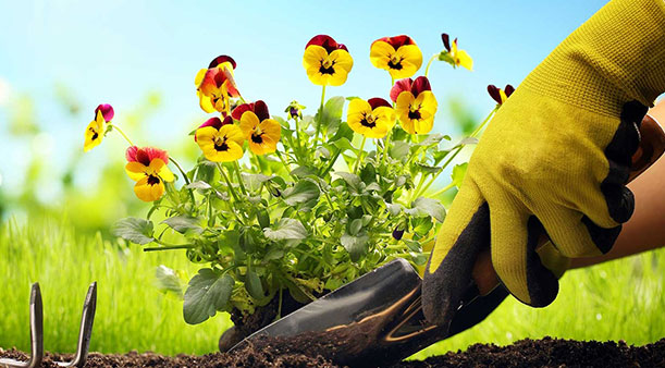 Na čo slúžia pracovné rukavice?